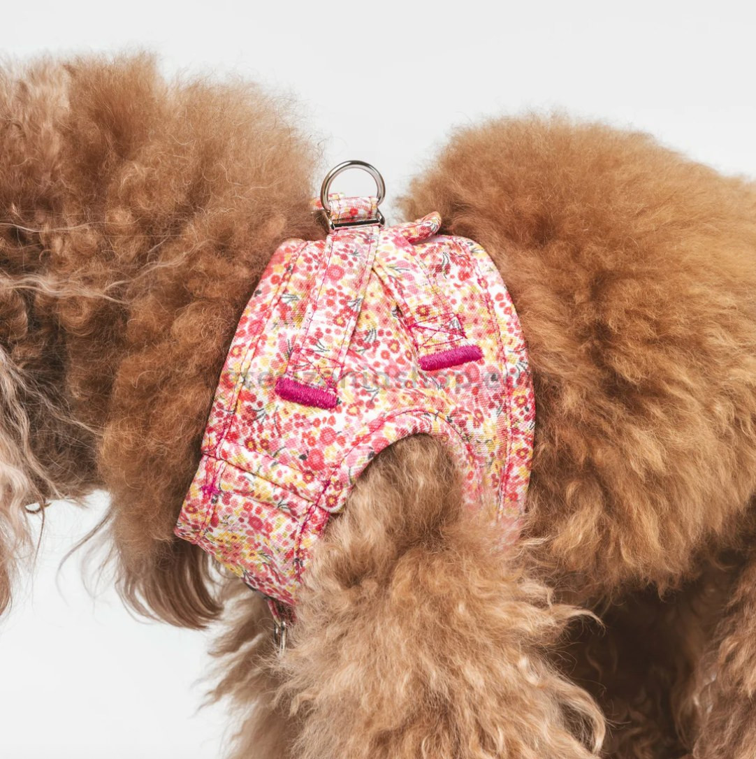 Arnés floral rosa premium para perro pequeño modelo Blossom ajustable y transpirable