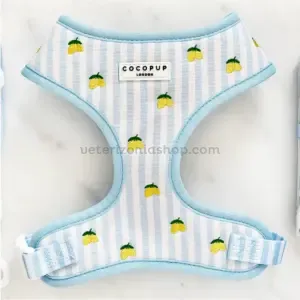arnés perro rayas azules con limones bordados ajustable