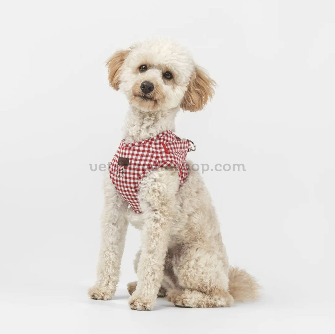 perro pequeño con arnés wrap vichy rojo premium ajustable
