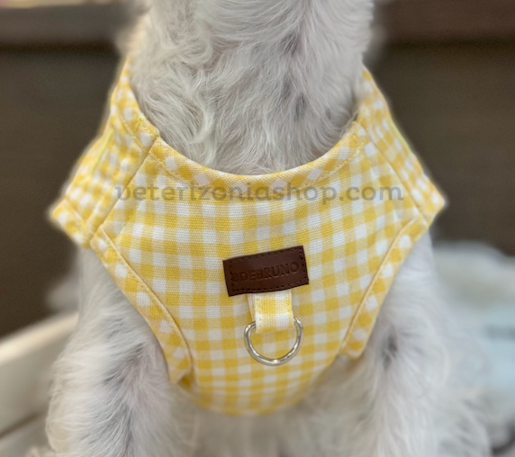 arnes-wrap-vichy-amarillo-perro-jack-russell.webp Perro pequeño con arnés wrap vichy amarillo premium ajustable y acolchado para paseos cómodos y seguros.