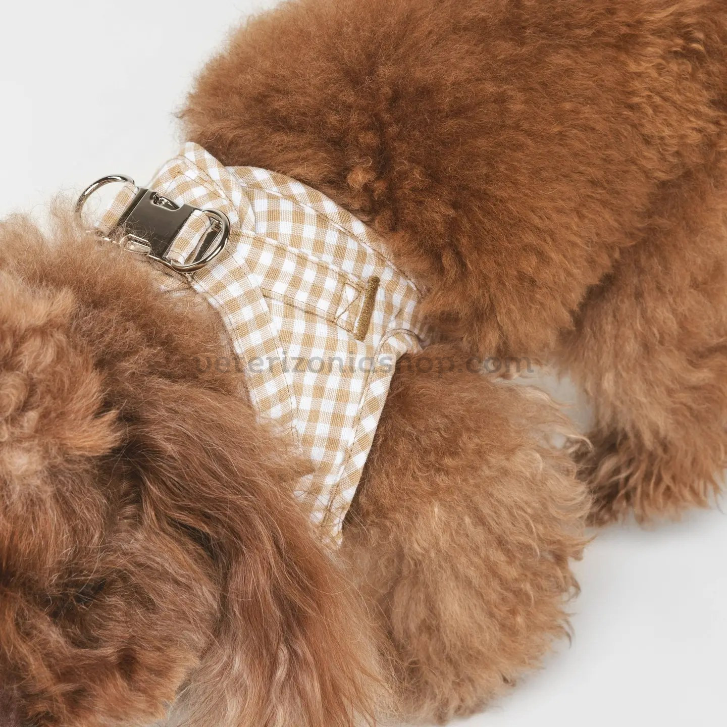 perro pequeño con arnes wrap vichy beige premium