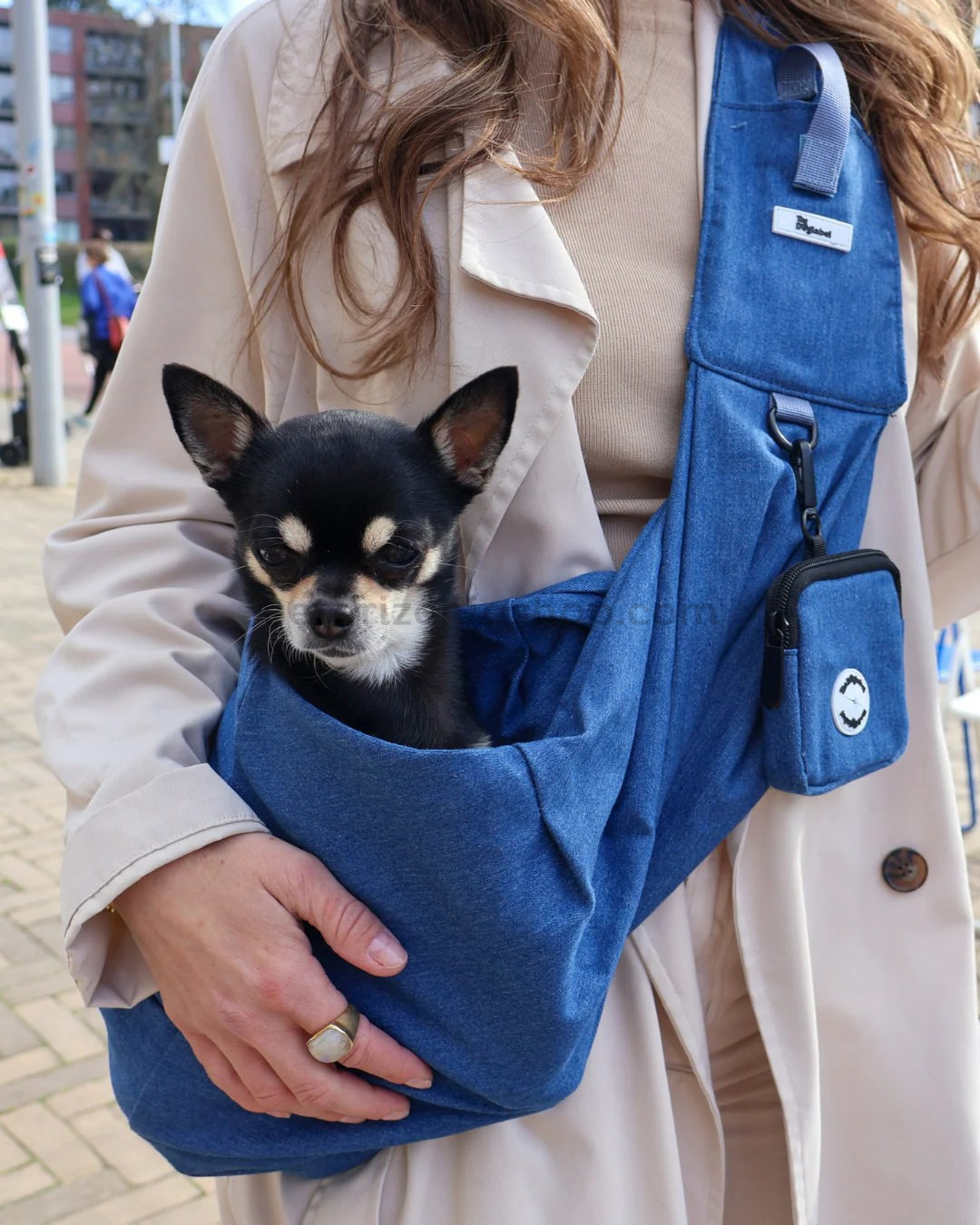 chihuahua dentro de bandolera para perros