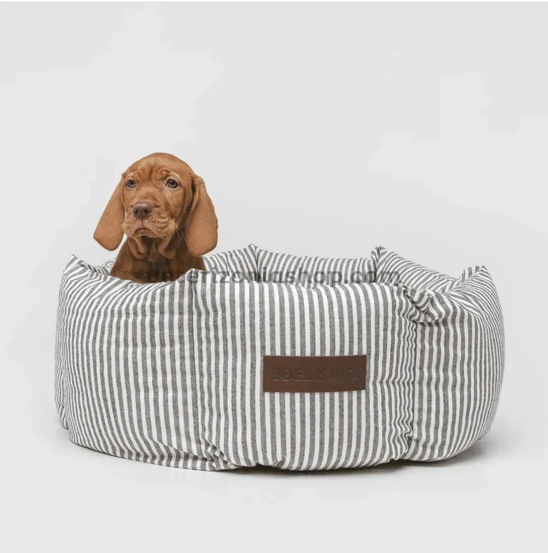 cachorro descansando en cama perro rayas grises premium
