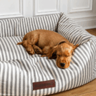 Cocker spaniel descansando sobre cama desenfundable para perros con diseño de rayas gris y beige acolchada y confortable.
