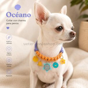 Collar decorativo para perros pequeños con charms marinos y diseño trenzado.