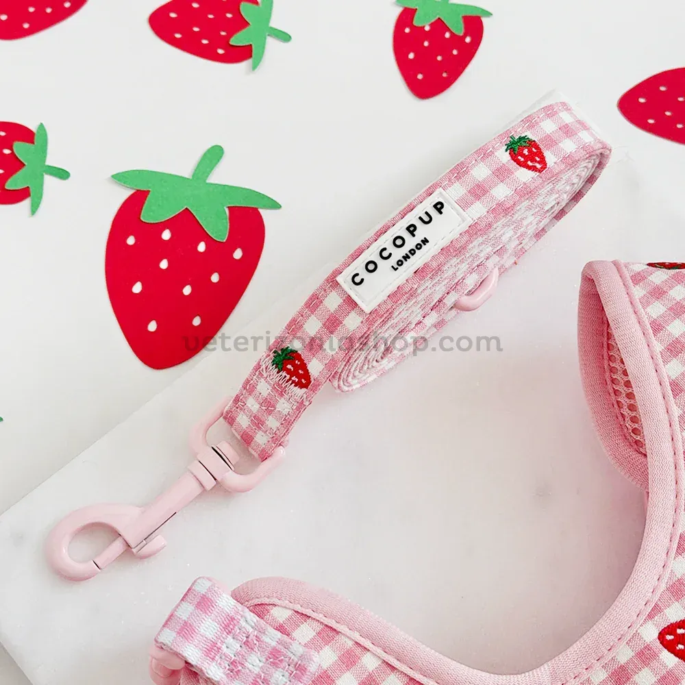 correa-perro-vichy-rosa-fresas