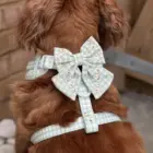 arnés cómodo para perros pequeños y medianos