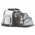 Perro pequeño dentro de transportadora Mesh Bag Xtra transpirable