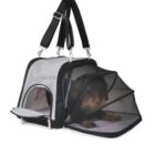 perro pequeño dentro de transportadora Mesh Bag Xtra extensible para viaje y cabina avión