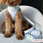 perro con correa rayas azules y limones a juego premium