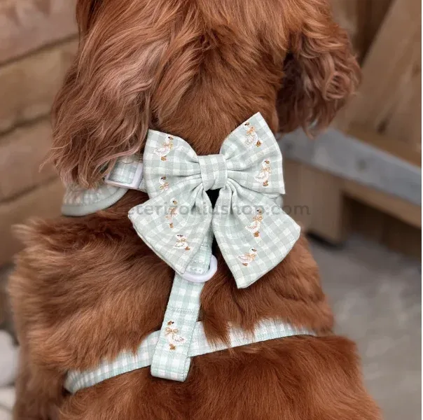 lazo elegante para arnés perro verde salvia