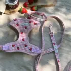 conjunto de paseo perro color rosa con estampado de fresas
