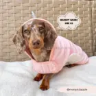oalla albornoz para perro con diseño unicornio