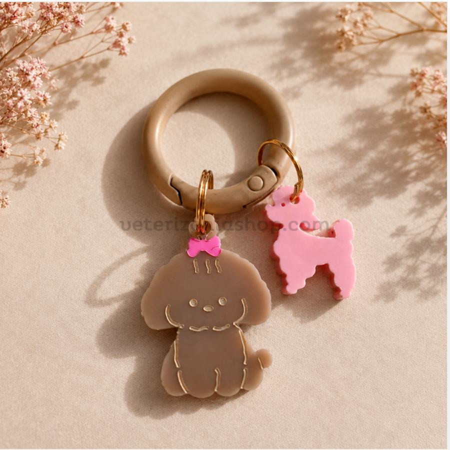 Chapa Identificativa Caniche Rosa para Perros Pequeños | Personalizada con Teléfono Chapa identificativa rosa para perros pequeños tipo Caniche Toy, Maltipoo o Cobberdog grabada con nombre y teléfono personalizada en metacrilato pastel.