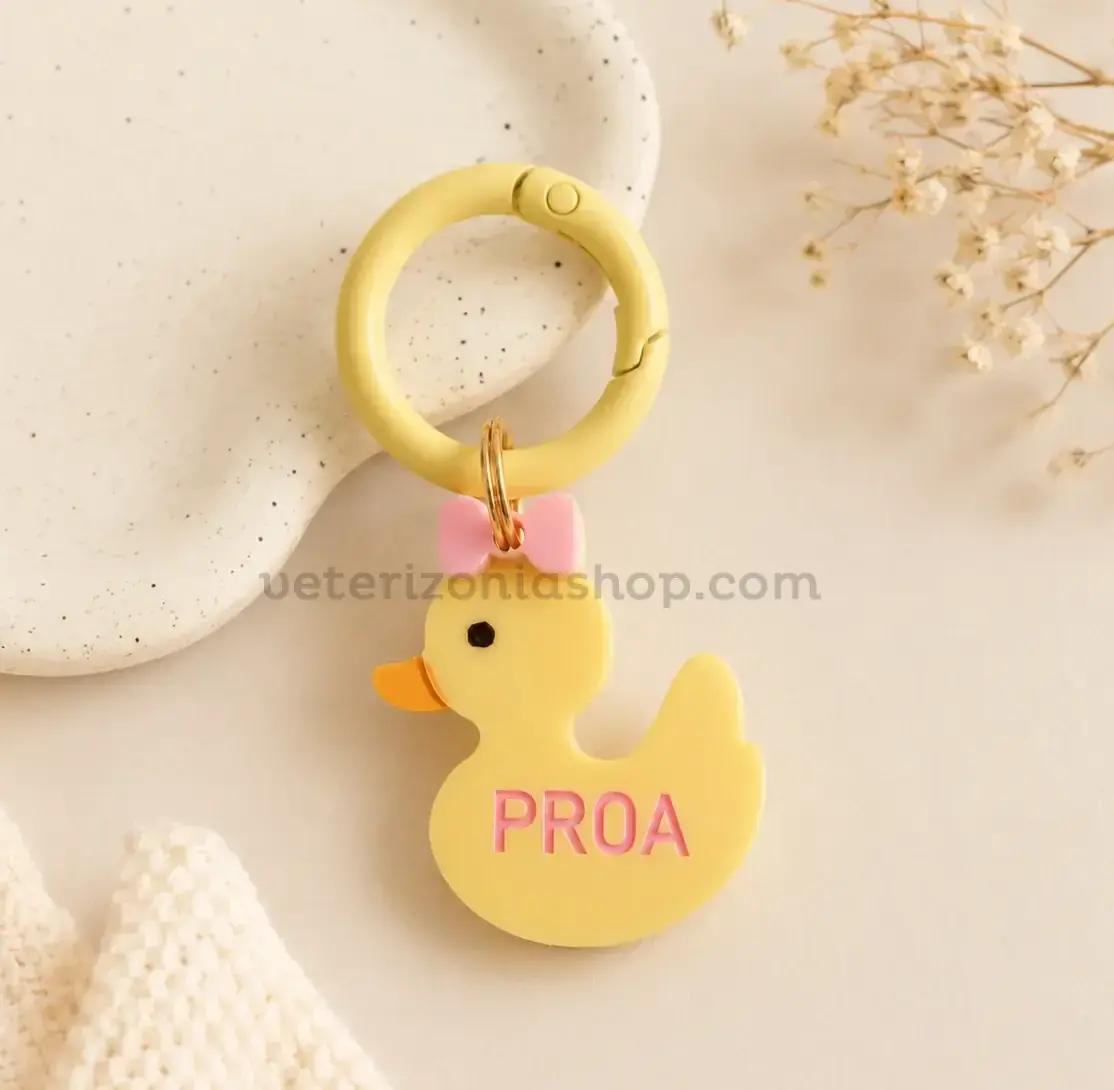 Chapa Identificativa Personalizada Patito para Perros Pequeños – Modelo Lazo Rosa Chapa Identificativa Personalizada Patito para Perros Pequeños – Modelo Lazo Rosa