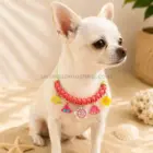 Collar con charms decorativos para perros pequeños modelo Coral en tonos coral y verde pastel con colgantes marinos y veraniegos sobre fondo arena estilo playa.