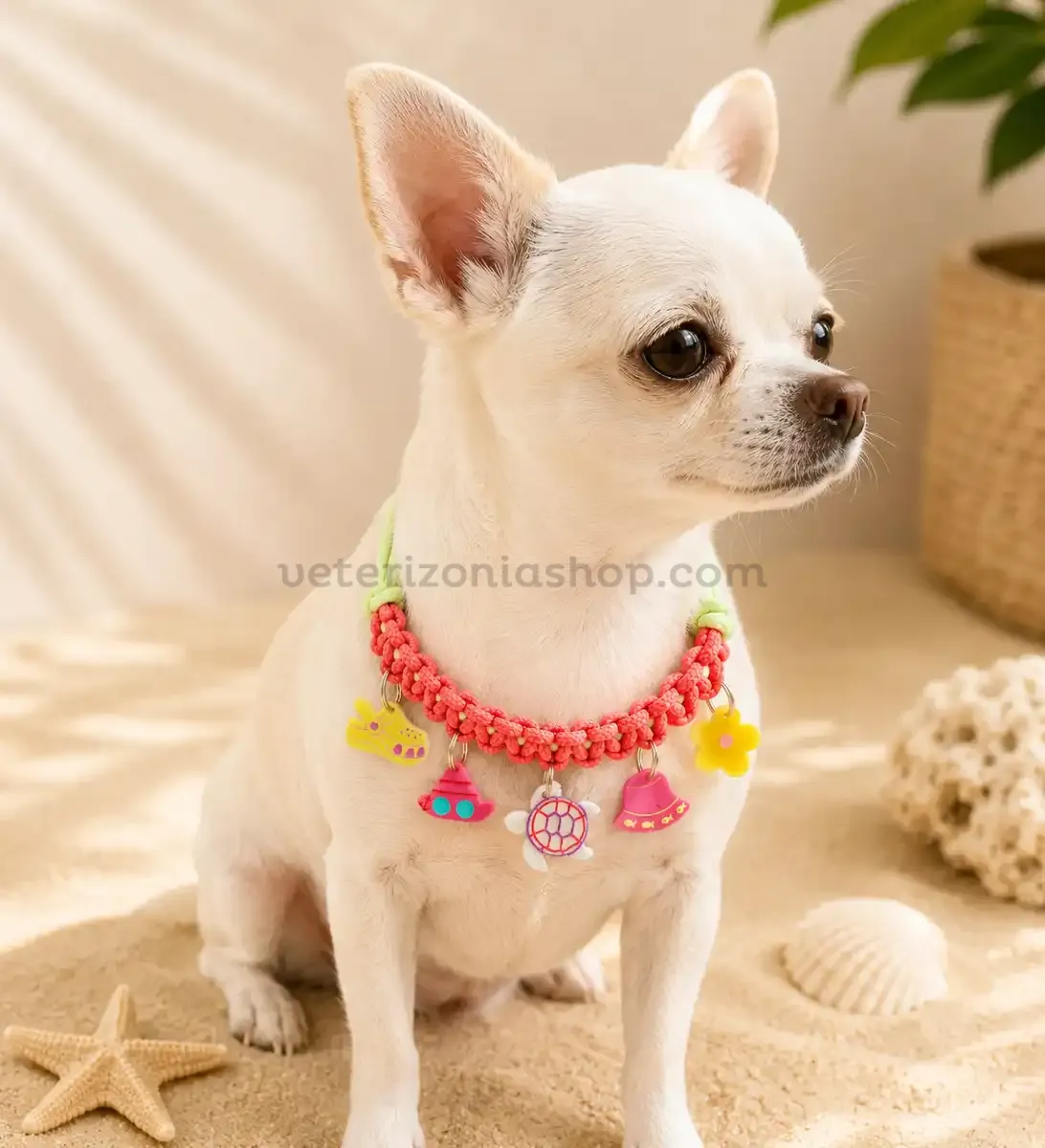 Collar con Charms para Perros Coral – Collar Decorativo Ajustable para Razas Toy y Pequeñas Collar con charms decorativos para perros pequeños modelo Coral en tonos coral y verde pastel con colgantes marinos y veraniegos sobre fondo arena estilo playa.