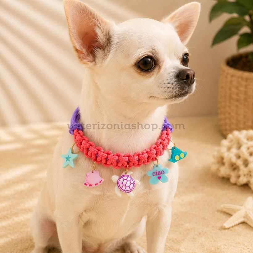 Collar con Charms para Perros Océano Coral | Collar Decorativo Ajustable para Razas Toy Collar con charms para perros pequeños modelo Océano Coral colocado en Chihuahua crema sobre fondo cálido estilo verano con diseño artesanal ajustable y colgantes marinos decorativos
