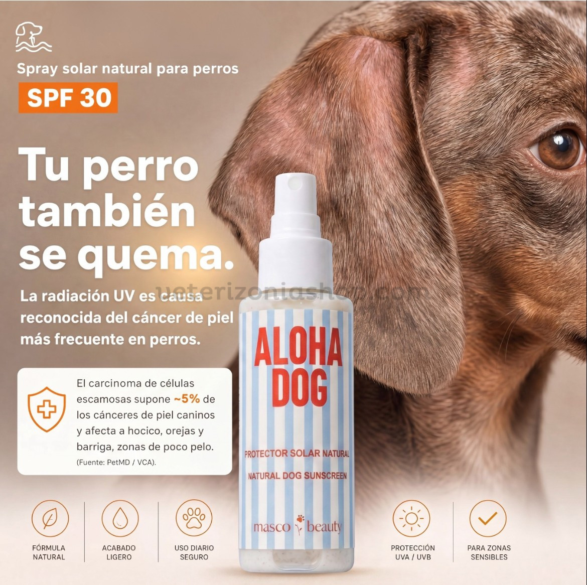 Cómo aplicar protector solar para perros en hocico, orejas y abdomen