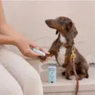 Aplicando protector de almohadillas en las patas de un perro