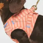 Detalle del arnés para perros rayas coral con ajuste envolvente y anilla metálica.