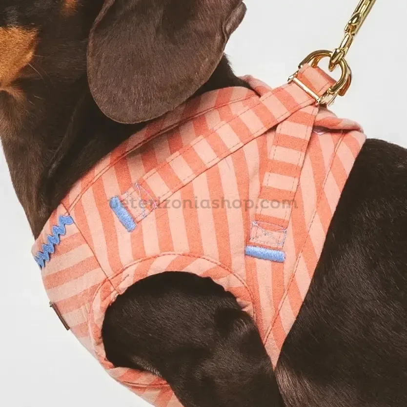 Detalle del arnés para perros rayas coral con ajuste envolvente y anilla metálica.