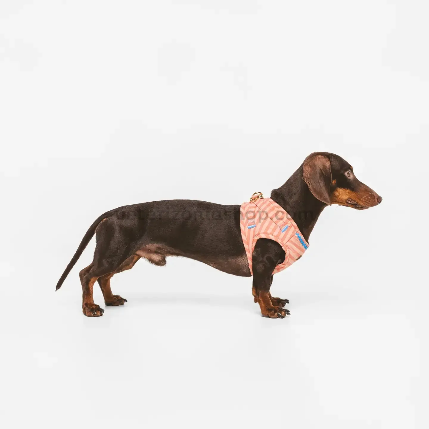 Detalle trasero del arnés para perros rayas coral con diseño ergonómico.