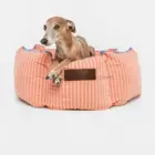 Perro descansando en cama Cupcake desenfundable de algodón con rayas coral.