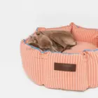 Perro durmiendo cómodamente en cama Cupcake acolchada con tejido de algodón.