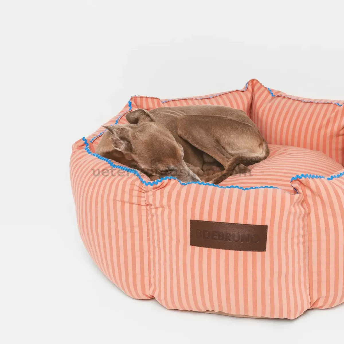 Perro durmiendo cómodamente en cama Cupcake acolchada con tejido de algodón.