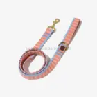 Correa para perros rayas coral con detalle de ondulina azul y herrajes dorados.