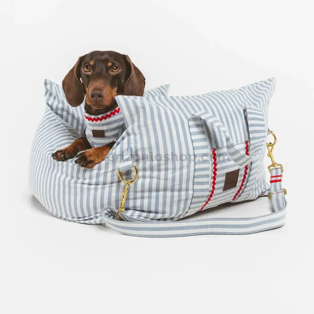 perro-asiento-coche-rayas-azul-celeste.webp