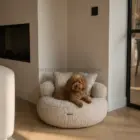 Perro descansando en cama sofá redonda Teddy Beige para perros 70 cm
