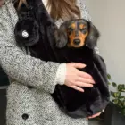 Bandolera para perro pequeño Fluffy Negra ajustable en uso