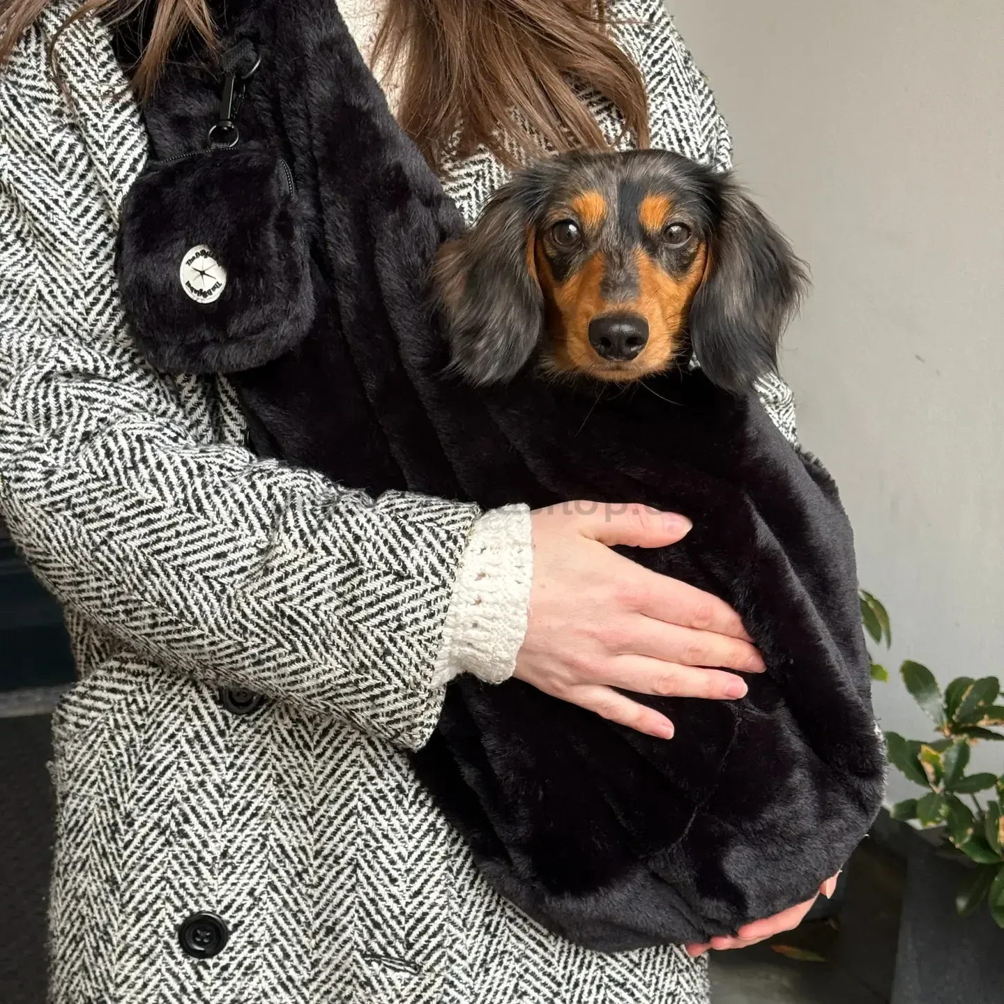 bandolera-perro-pequeno-fluffy-negra-en-uso Bandolera para perro pequeño Fluffy Negra ajustable en uso
