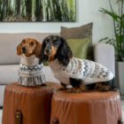 Detalle del jersey Woolly Winter de Alqo Wasi