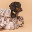 Bolso Transportín Sophie para perros — vista 2