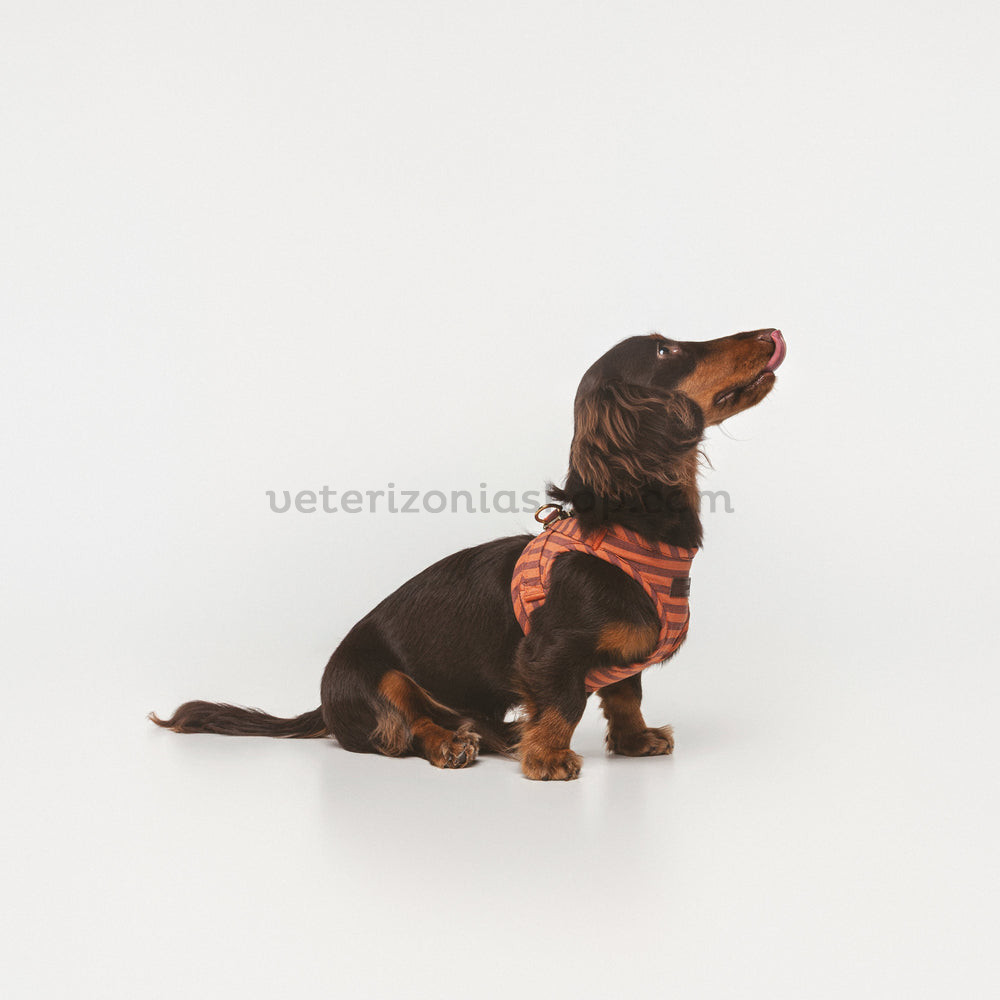 Arnés Wrap Mafalda para perros — vista 3