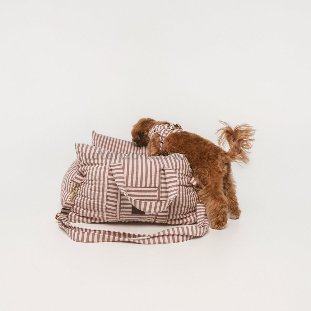 Asiento Coche Sophie para perros — vista 4