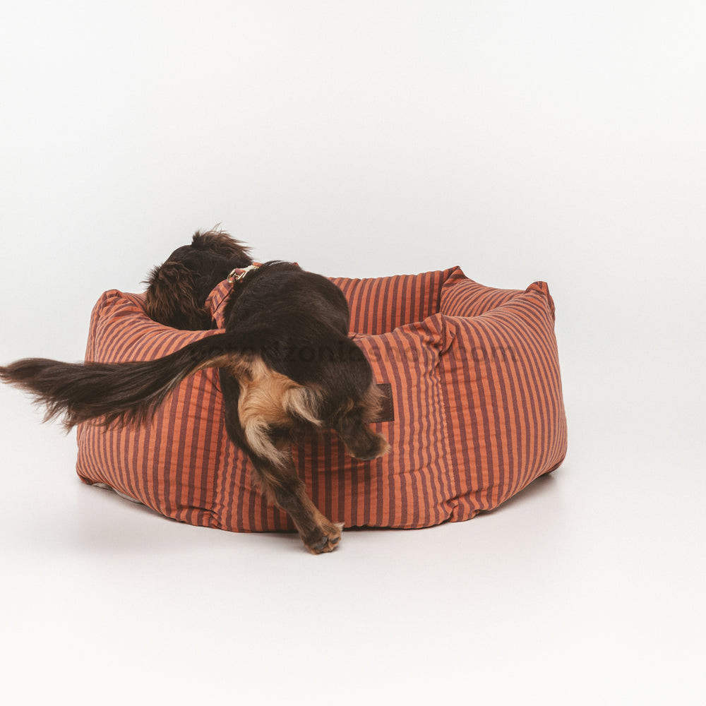 Cama Cupcake Mafalda para perros — vista 2