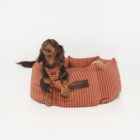 Cama Cupcake Mafalda para perros — vista 4