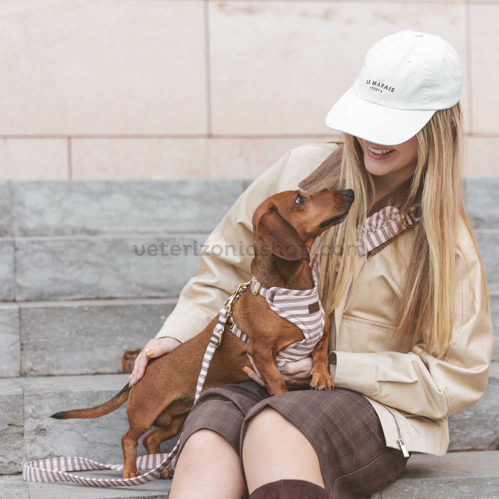 Correa Sophie para perros — vista 2