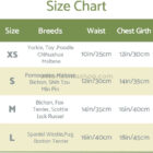 Tabla oficial del vestido Fitwarm: tallas XS a L con medidas de cintura y pecho en centímetros