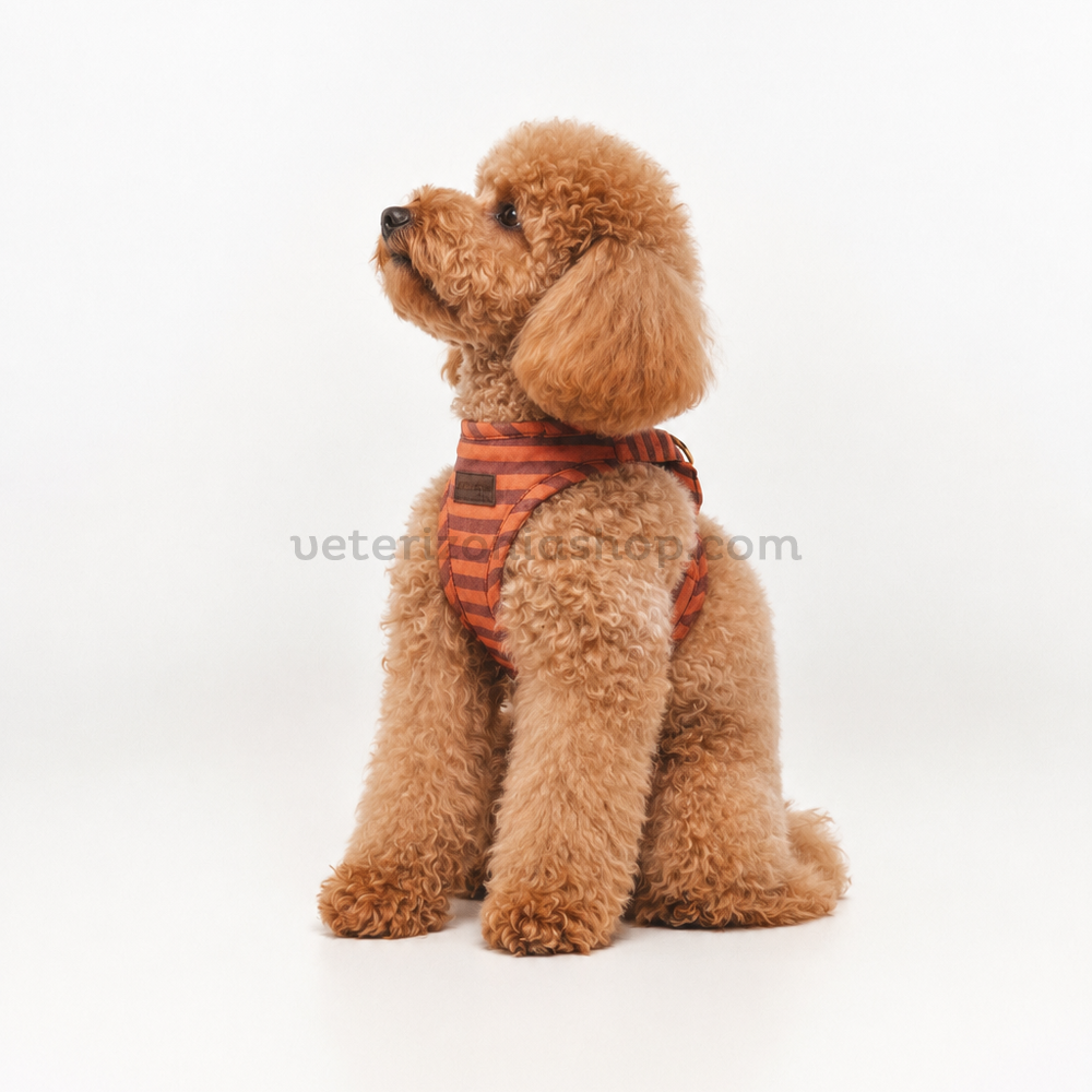 Arnés Wrap Mafalda para perros — vista 4