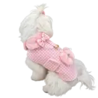 Perro de pelo blanco con abrigo arnés Vichy rosa, visto de espaldas para mostrar cómo queda puesto.