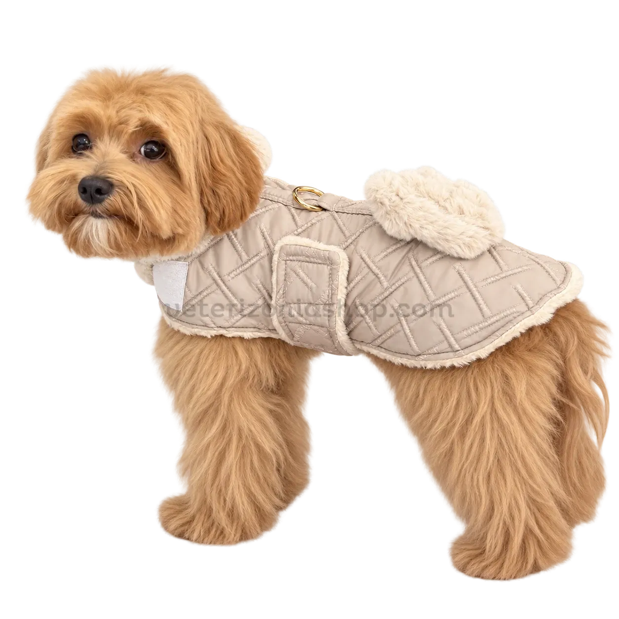 Perro de pelo dorado con abrigo arnés beige acolchado y lazo de pelo, visto de lado para mostrar cómo queda puesto.