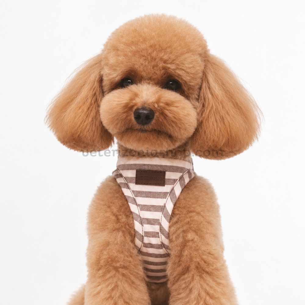 Imagen_de_ChatGPT_4_oct_2026_11_47_26.png Arnés Wrap Sophie para perros — vista 2