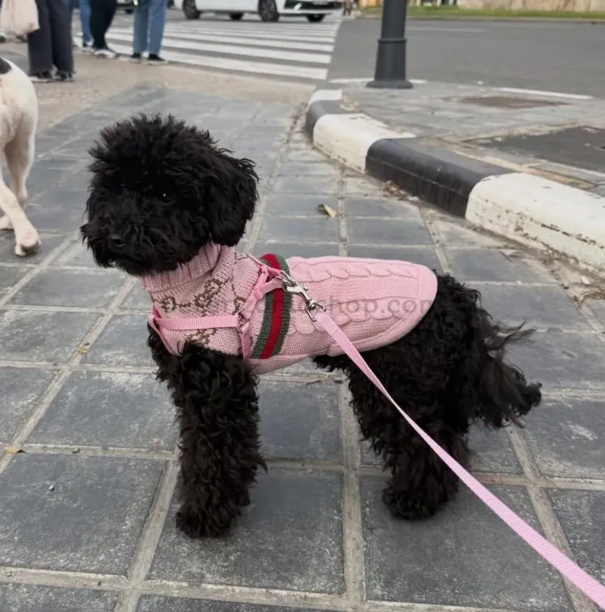 Perro negro con jersey de lana merino Dolcevita Infinity rosa, vista lateral para mostrar cómo queda puesto.