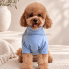 Perro con jersey polar azul claro
