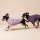Perro con jersey polar burdeos